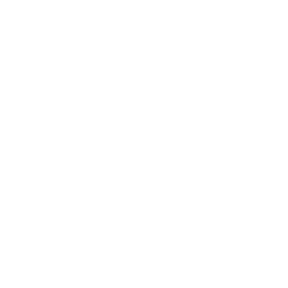 Audi Red Logo